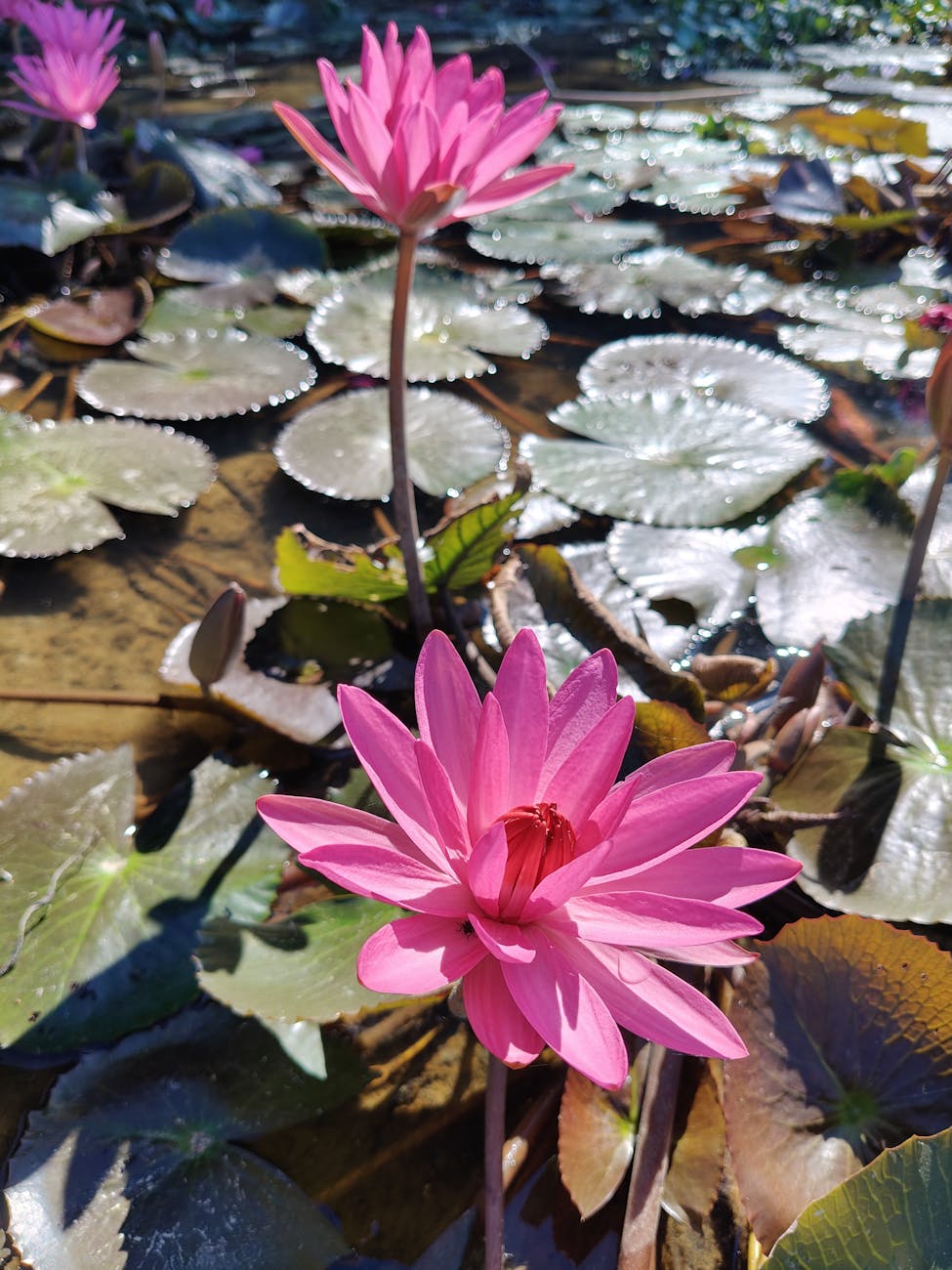 Transform Your Meditation Practice: 7 Essential Tools for Deep Inner Peace