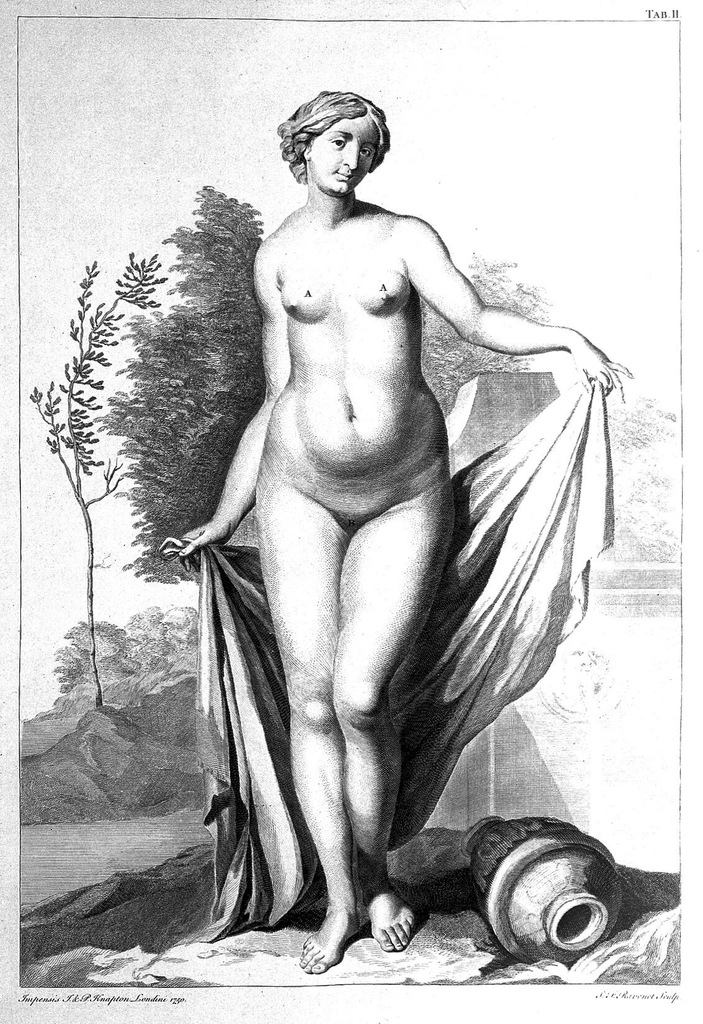 Transform Your Skin with Holistic Self-Care Rituals